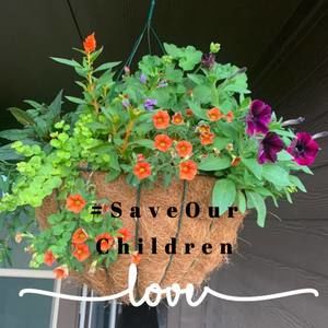 Meet your Posher, Cheyeanna